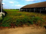 埼玉県鴻巣市 293万円 農地 11,400㎡