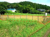 愛知県新城市 17万円 農地 220㎡