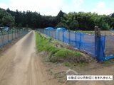 千葉県千葉市若葉区 100万円 農地 3,526㎡