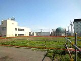 北海道留萌市 137万円 土地 746㎡