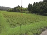鹿児島県曽於市 50万円 農地 3,135㎡
