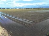 山形県東置賜郡川西町 75万円 農地 9,609㎡