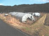 長野県佐久市 53万円 農地 3,882㎡