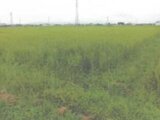 滋賀県高島市 72万円 農地 3,149㎡