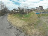 新潟県新潟市北区 20万円 農地 776㎡