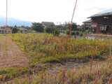 山梨県甲斐市 42万円 農地 845㎡