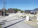 山口県宇部市 529万円 戸建て 154㎡