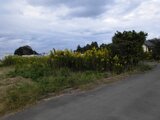 茨城県鉾田市 43万円 土地 287㎡