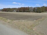 茨城県笠間市 46万円 農地 2,056㎡