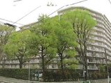 東京都板橋区 992万円 マンション 73㎡
