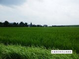 岐阜県安八郡安八町 5万円 農地 311㎡