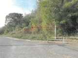 福岡県直方市 186万円 土地 689㎡