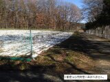 山梨県北杜市 60万円 農地 829㎡