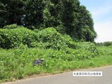 千葉県山武市 150万円 土地 170㎡