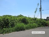 千葉県山武市 173万円 土地 157㎡