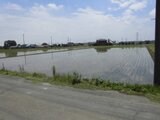 埼玉県深谷市 18万円 農地 1,372㎡