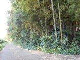 茨城県つくば市 74万円 土地 1,010㎡