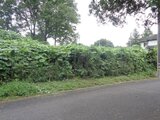栃木県矢板市 36万円 土地 166㎡