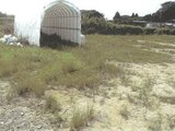 鹿児島県出水市 29万円 農地 1,163㎡