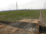 埼玉県熊谷市 9万円 農地 1,600㎡