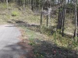 長野県南佐久郡小海町 22万円 土地 979㎡
