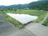 石川県加賀市 16万円 農地 415㎡