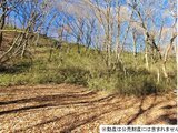 栃木県那須郡那須町 50万円 土地 547㎡