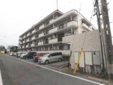 愛知県高浜市 706万円 マンション 81㎡