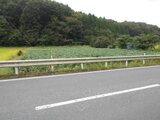 埼玉県比企郡鳩山町 12万円 農地 1,381㎡