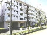 埼玉県坂戸市 426万円 マンション 57㎡