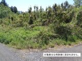 茨城県小美玉市 11万円 土地 248㎡