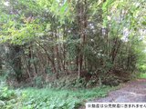 栃木県那須郡那須町 33万円 土地 662㎡