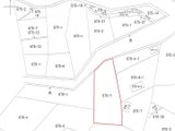 神奈川県足柄上郡山北町 42万円 土地 13,289㎡