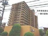 埼玉県八潮市の競売物件 1,757万円 マンション 97㎡