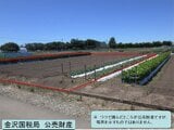 石川県加賀市の国税庁公売物件 22万円 農地 446m²