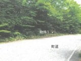 栃木県那須郡那須町の競売物件 101万円 土地 661㎡