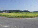 高知県四万十市の国税庁公売物件 61万円 農地 849m²