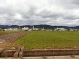 奈良県天理市の国税庁公売物件 119万円 農地 1,184m²