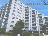 埼玉県草加市の競売物件 264万円 マンション 55m²