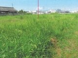 奈良県桜井市の競売物件 91万円 農地 964m²