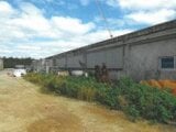 沖縄県宮古島市の競売物件 2,139万円 戸建て 980m²