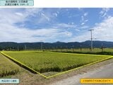 山形県東田川郡庄内町の国税庁公売物件 43万円 農地 2,059m²