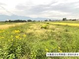 山梨県北杜市の国税庁公売物件 48万円 農地 1,828m²