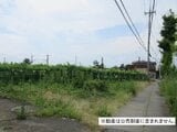 山梨県笛吹市の国税庁公売物件 160万円 土地 107m²