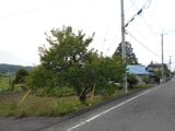 栃木県那須烏山市の国税庁公売物件 3万円 農地 371m²