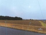 福島県福島市の競売物件 35万円 農地 2,520m²