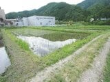 石川県加賀市の競売物件 24万円 農地 830m²