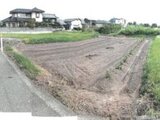 香川県木田郡三木町の競売物件 133万円 農地 316m²