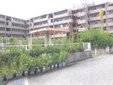 京都府八幡市の競売物件 816万円 マンション 76m²