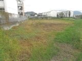 大分県宇佐市の競売物件 34万円 農地 449m²